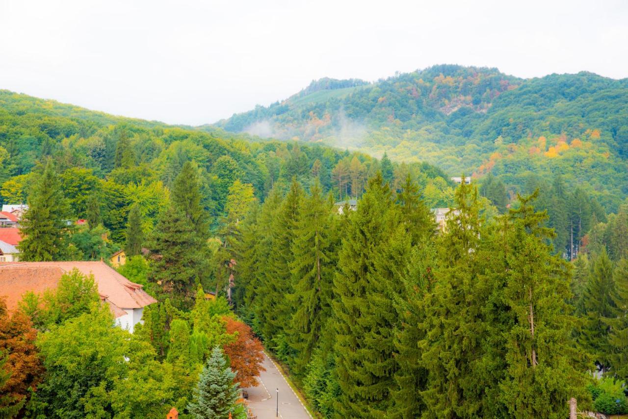 Hotel Olanesti & Spa Medical Băile Olăneşti Eksteriør billede